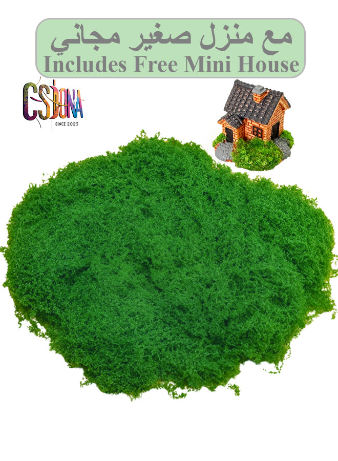 Artificial Moss Miniature House